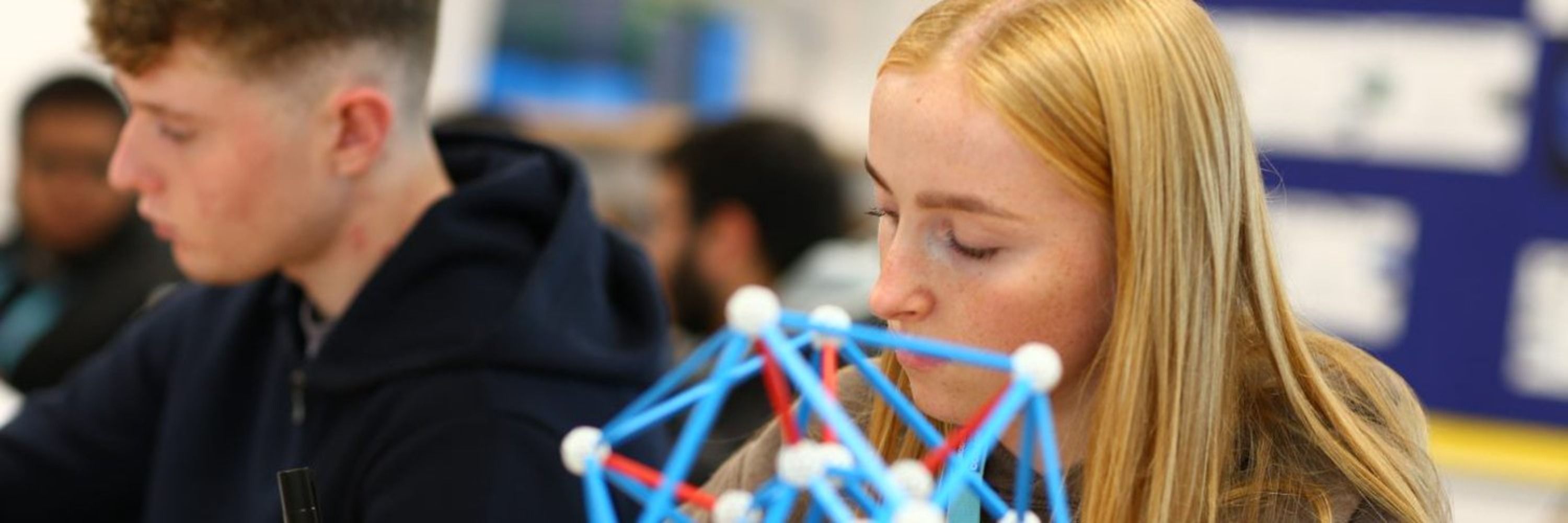 The University Maths Schools Network