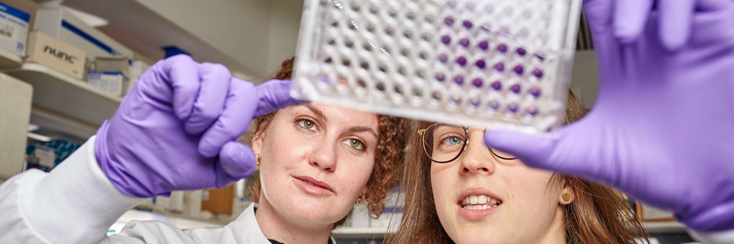 The Institute of Cancer Research