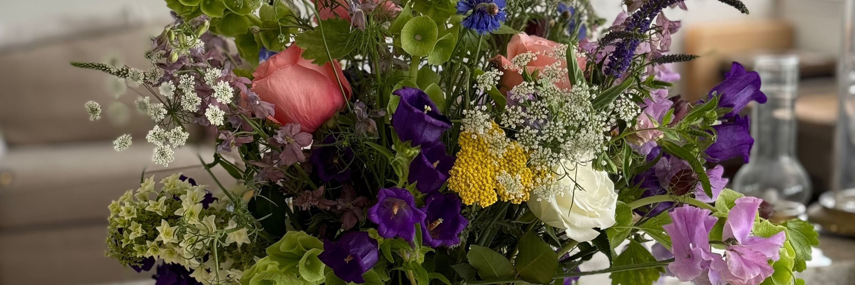 Fields and Petals