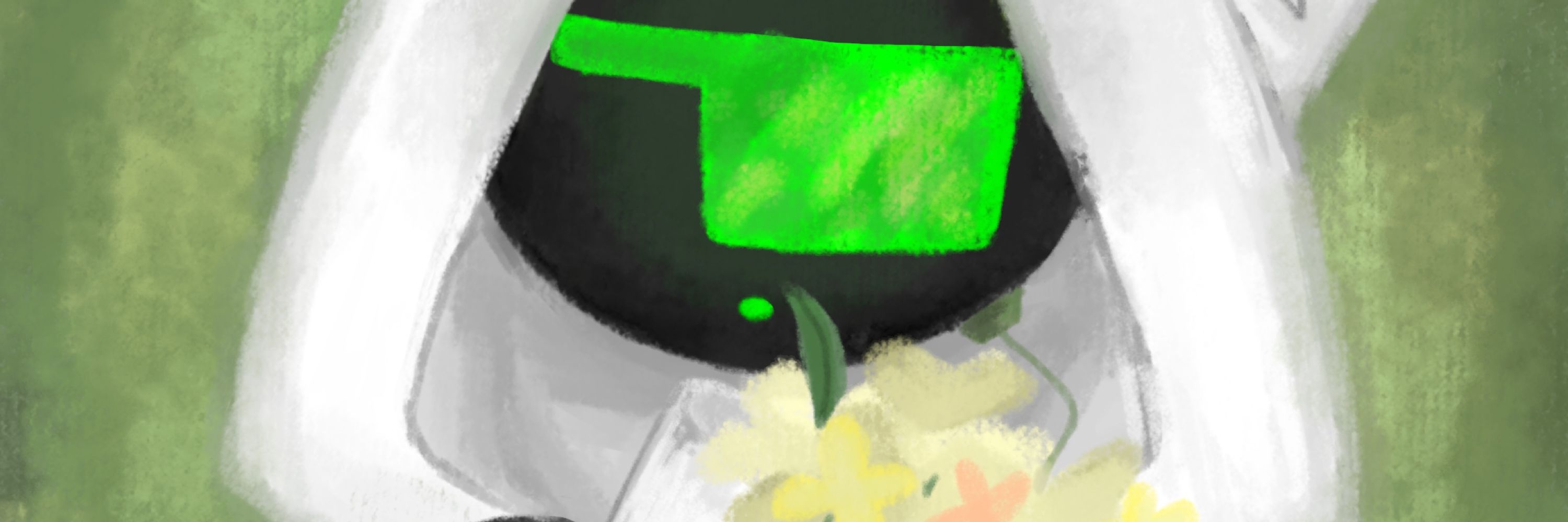 かけごはん