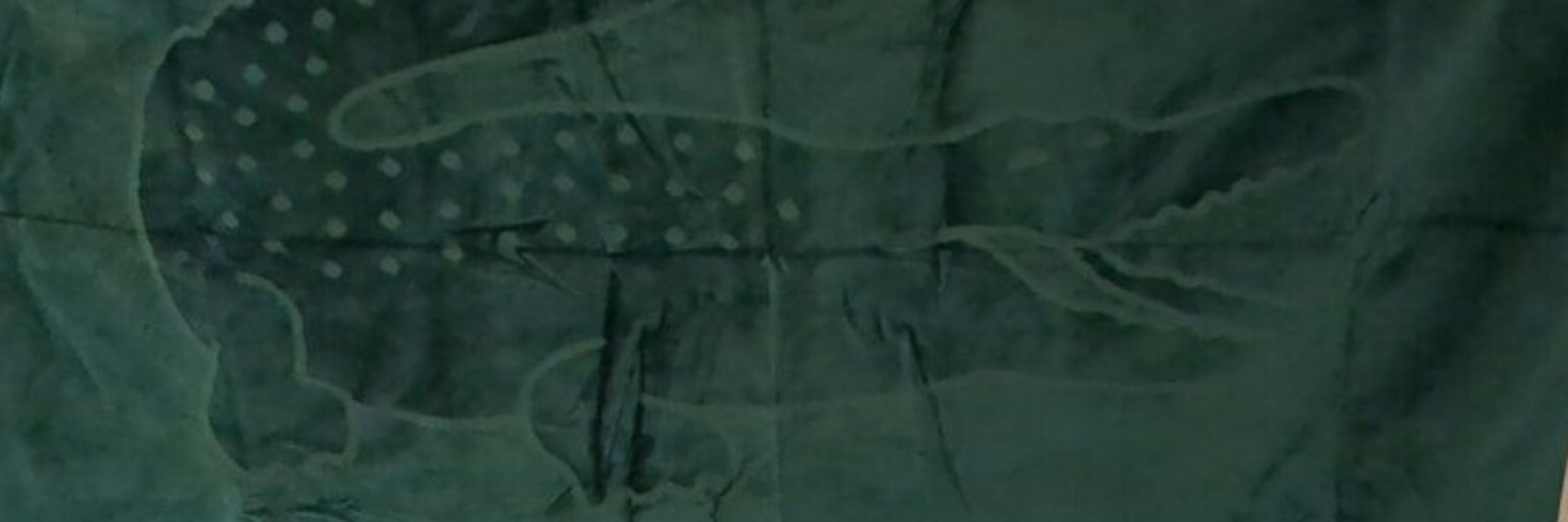 Bitterfish