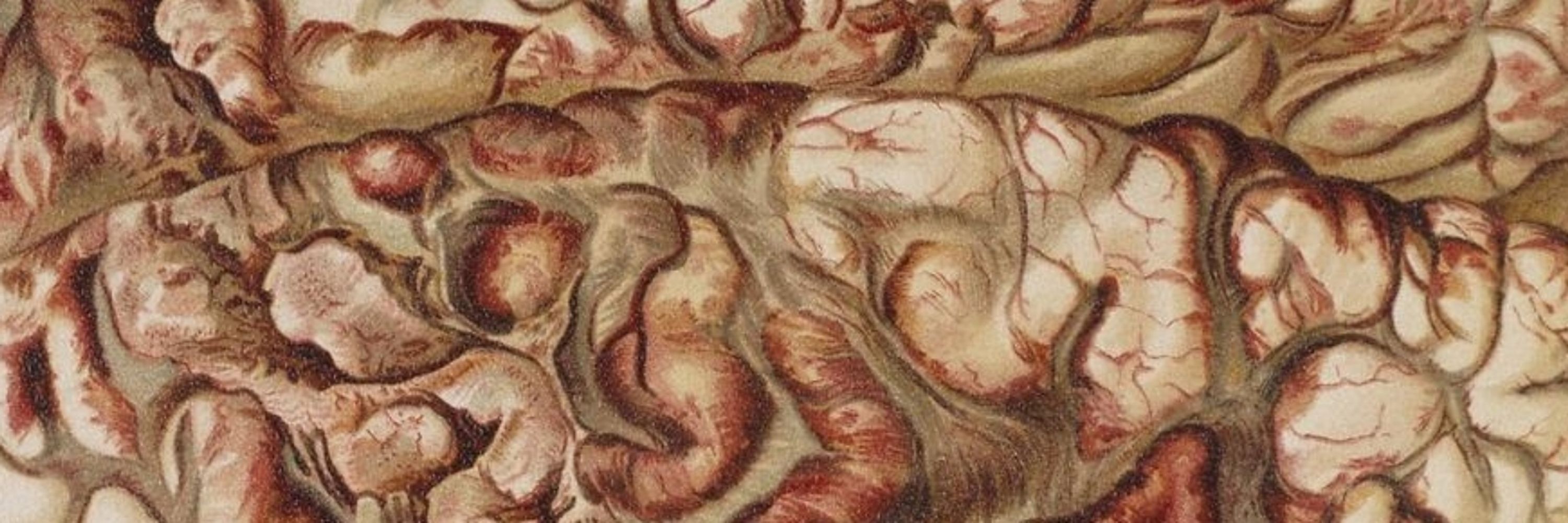 Alex Virtues