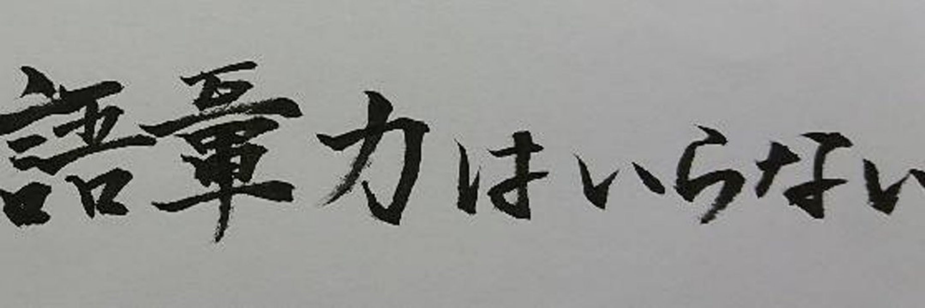 うちのねこ