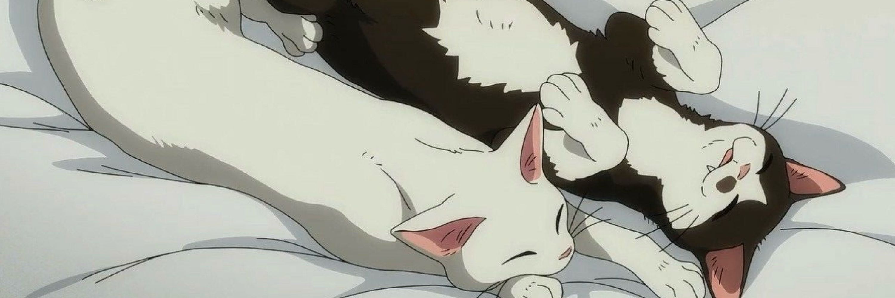 catsღnel
