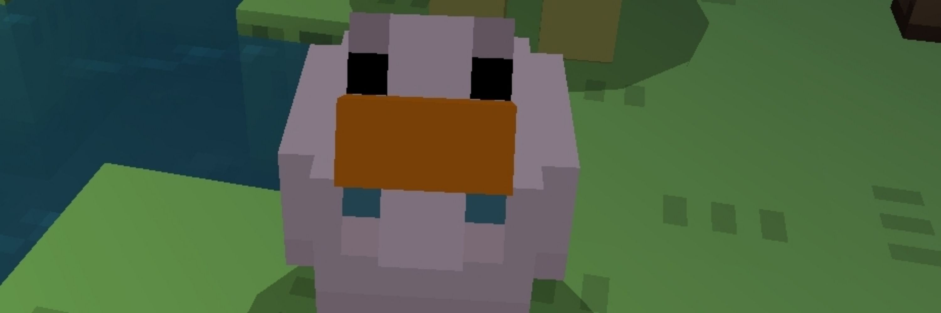 ninjadeivid