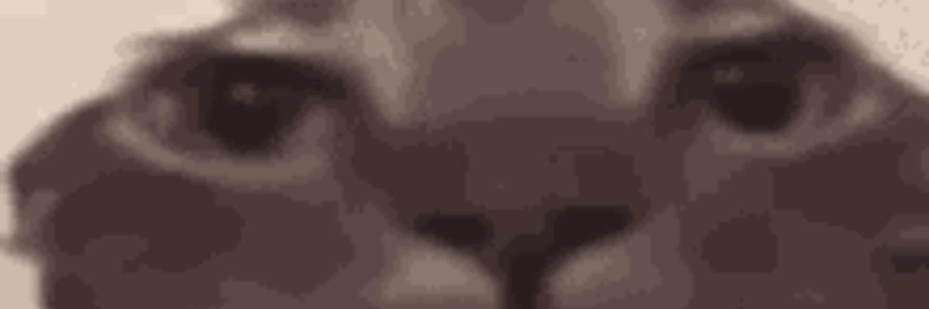 Lynxi
