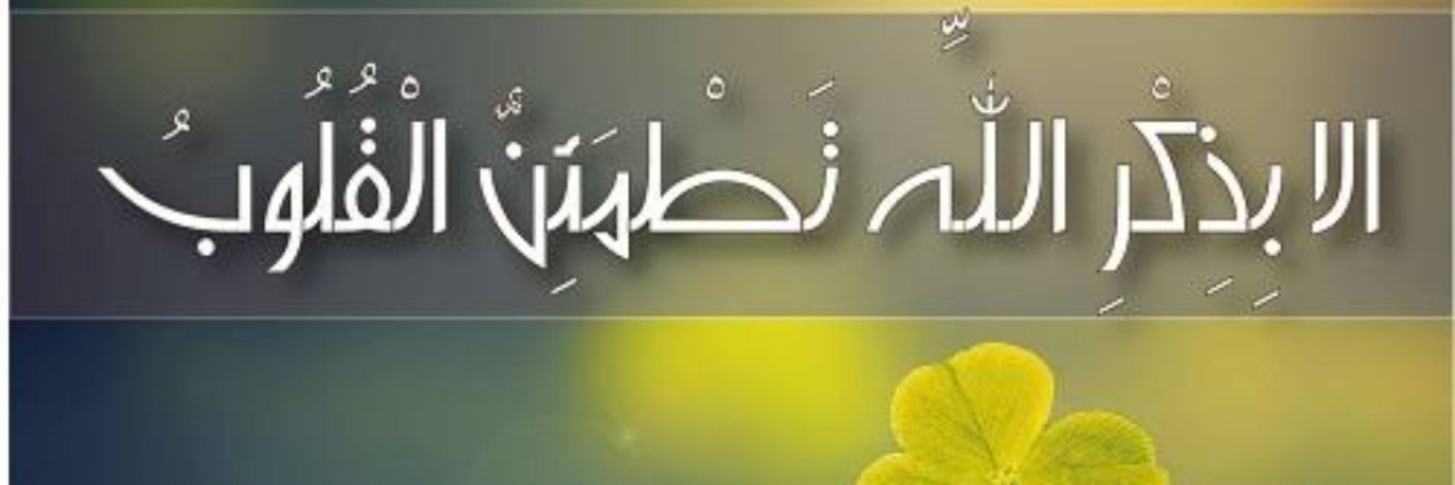 Nuzhat Mubashir