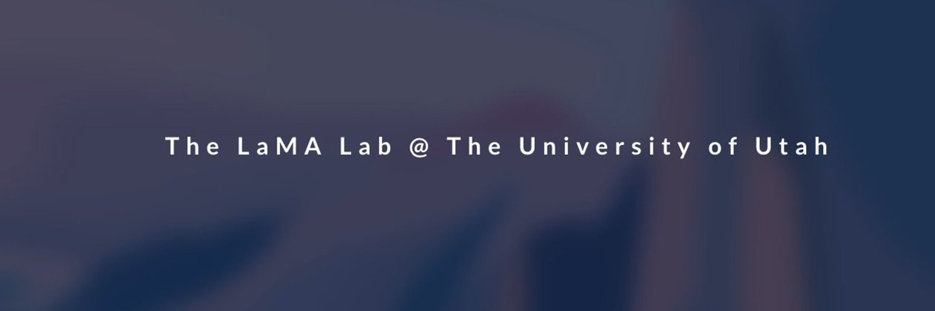 Language and Memory Aging Lab
