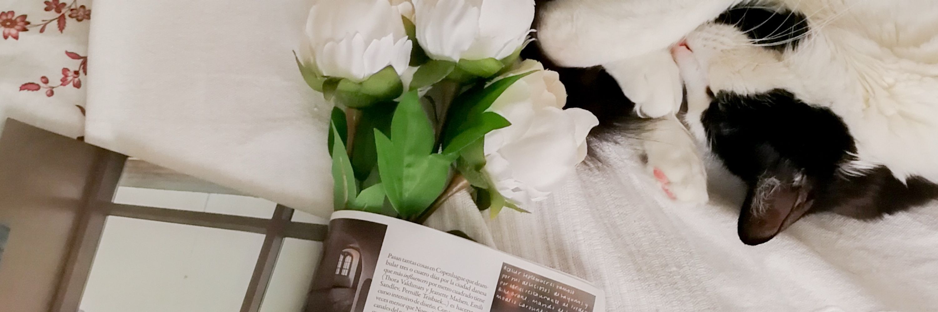 🌙 E R I • THE CULT READER