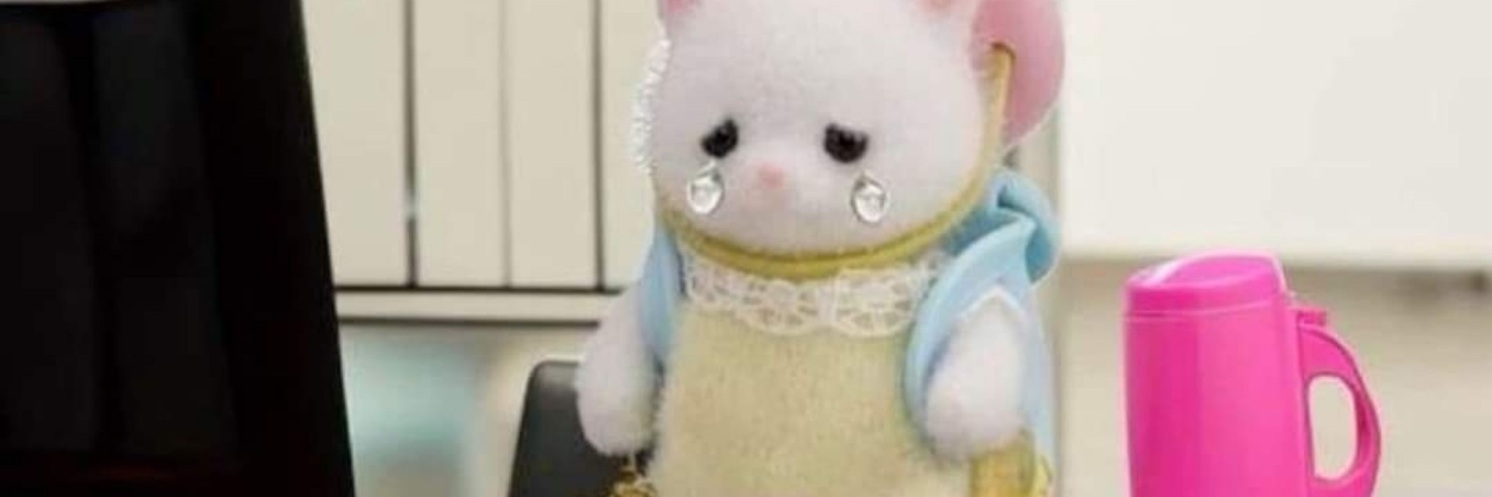 Darci's diary