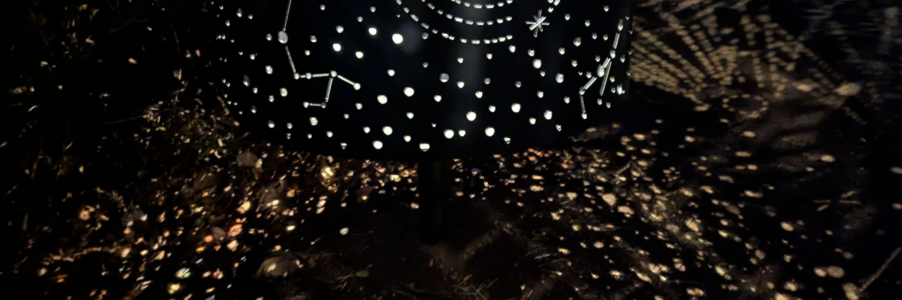 ✨Trella Dubetz, Artist, Somatic + Quantum Field Practitioner✨