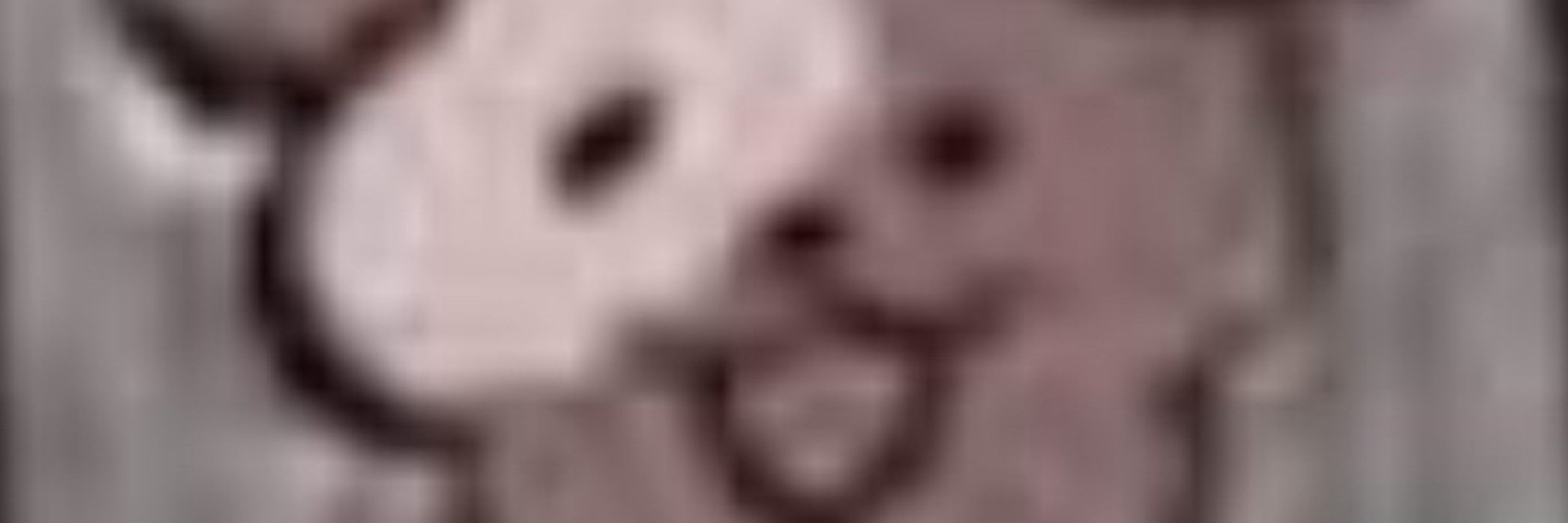 TransSapphoism