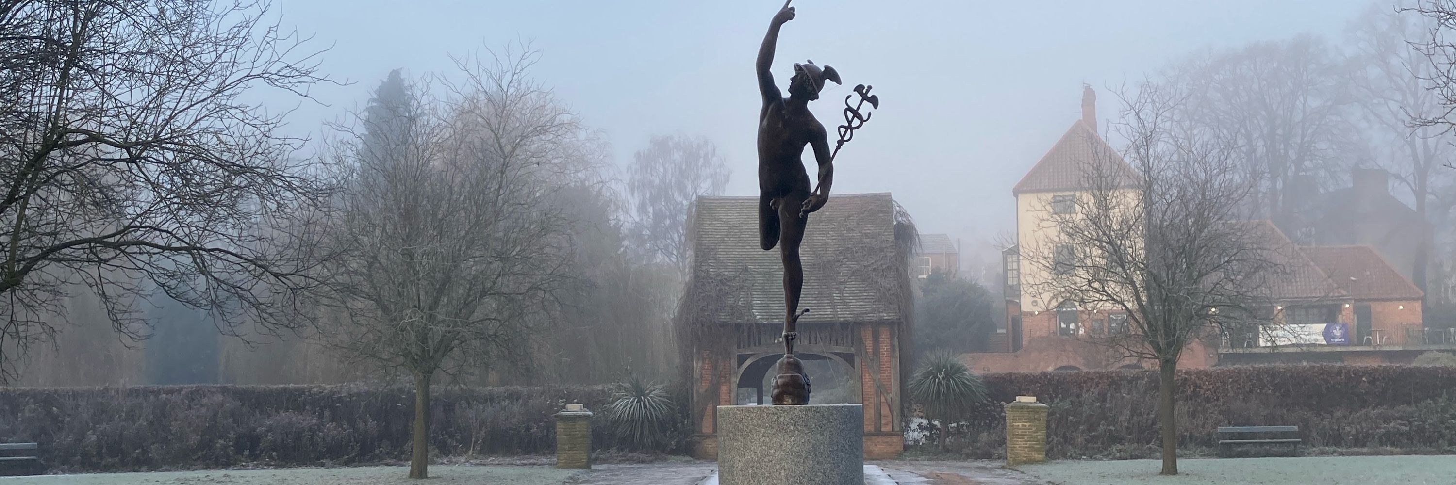 Friends of Rowntree Park