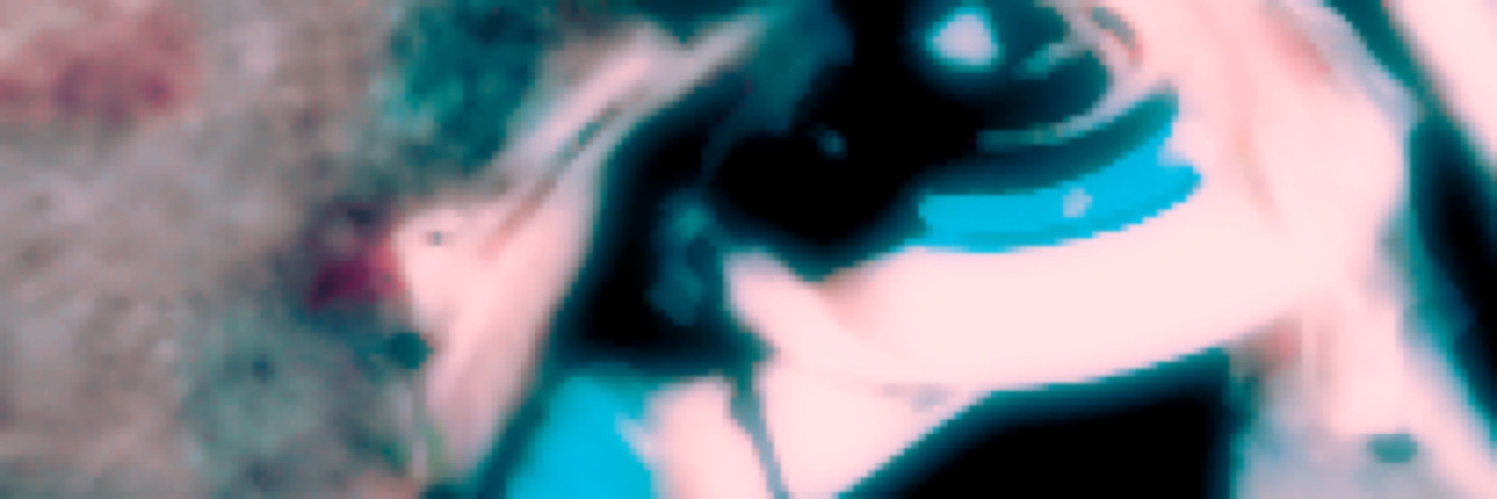 rachael.io