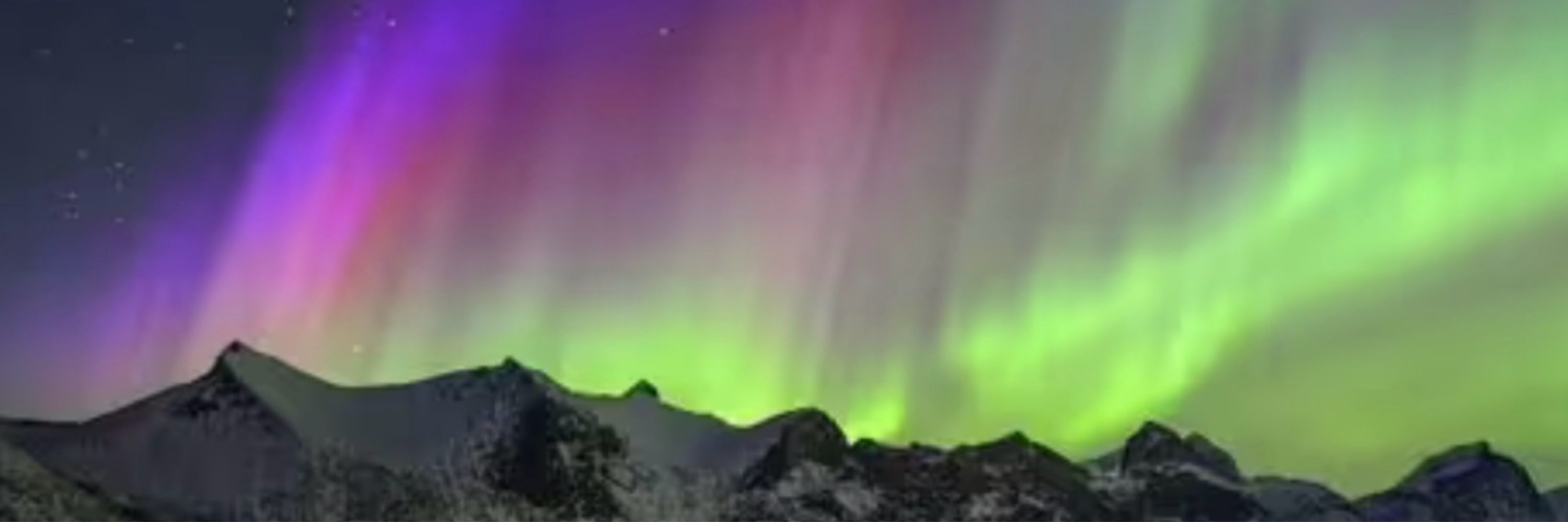 Adora Borealis 🇨🇦