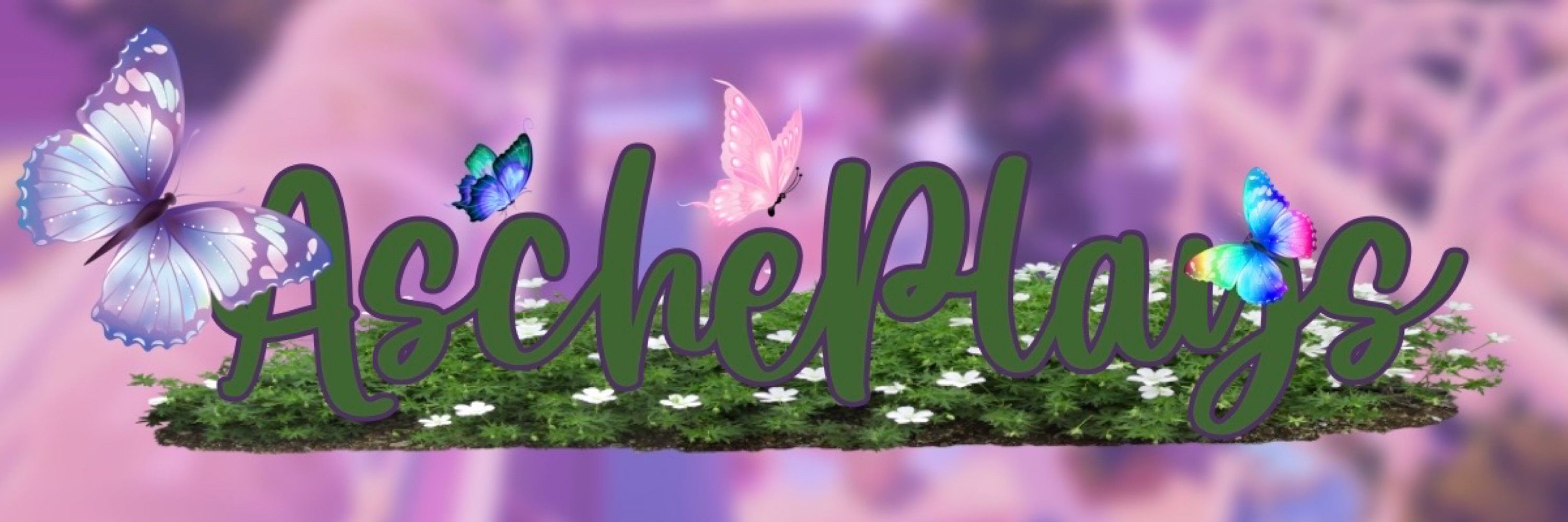 AschePlays 