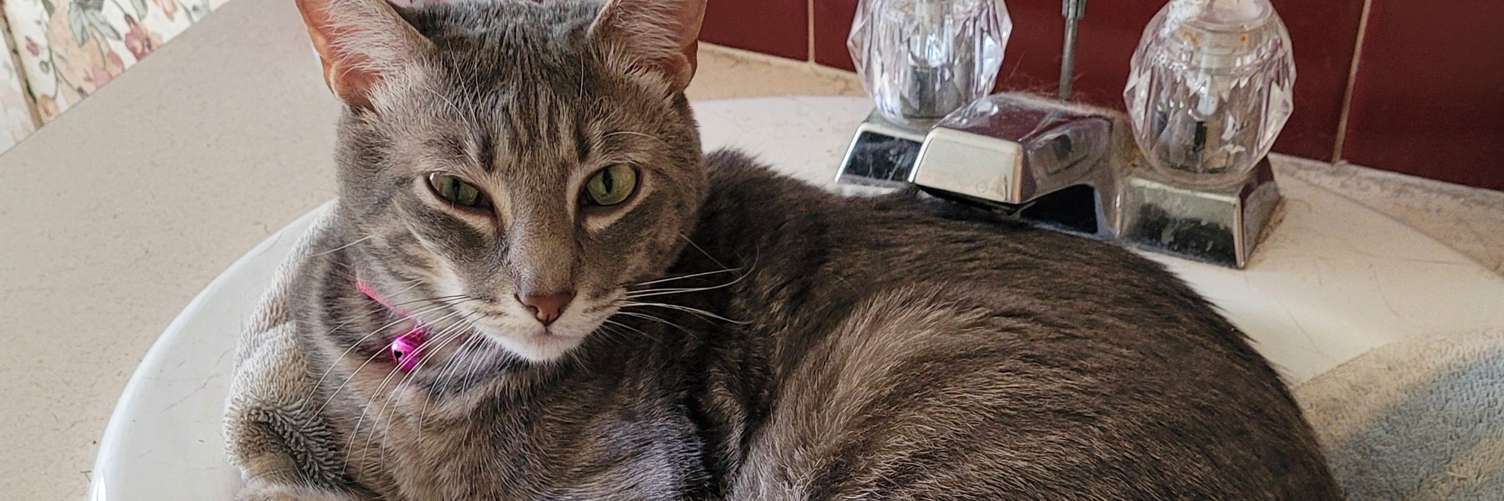 Mim