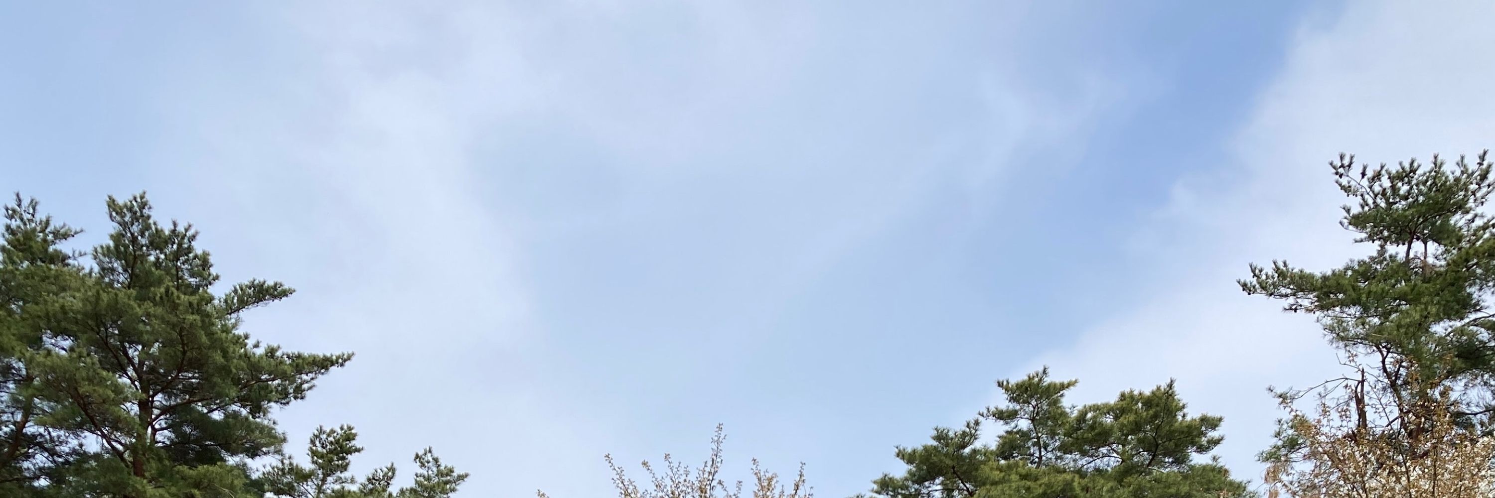 にゃごるご