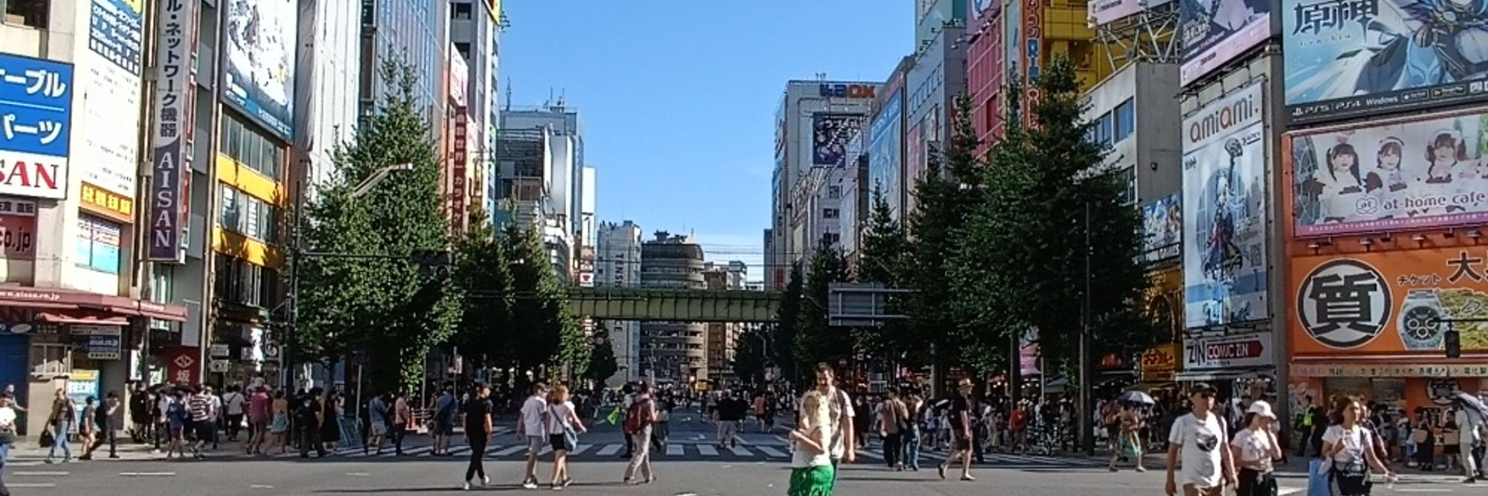 kisu