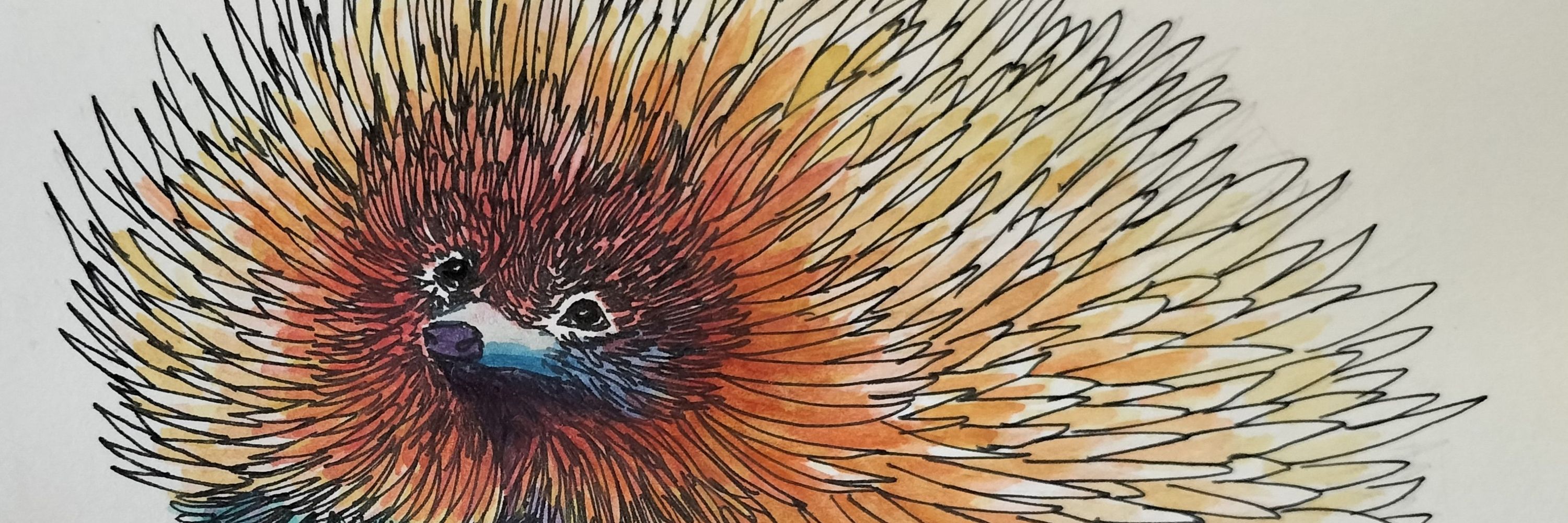 Joyous Echidna