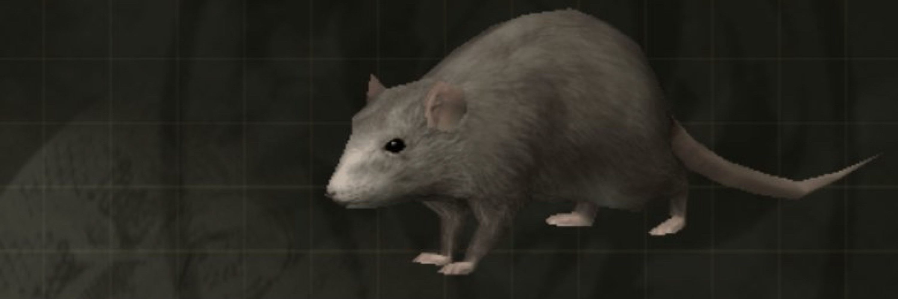 Rats in Video Games