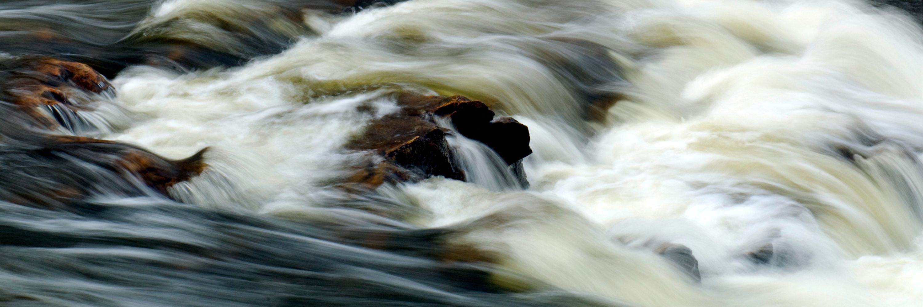 Muskoka Watershed Council