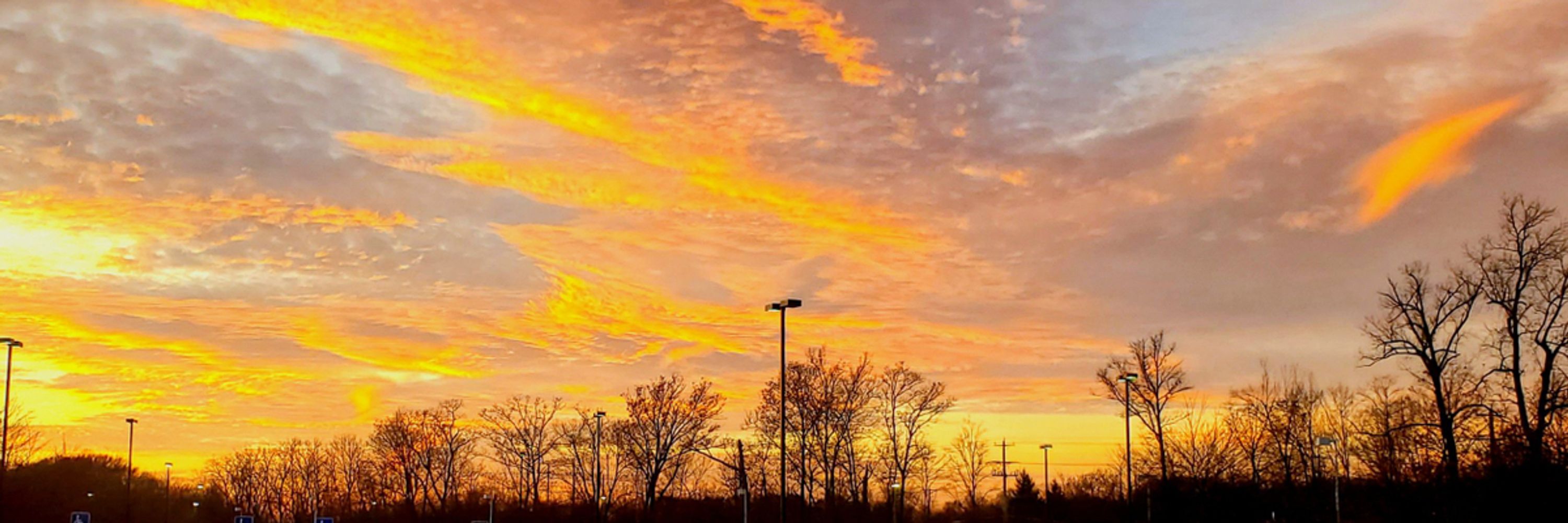 🌅 SUNSET SKIES
