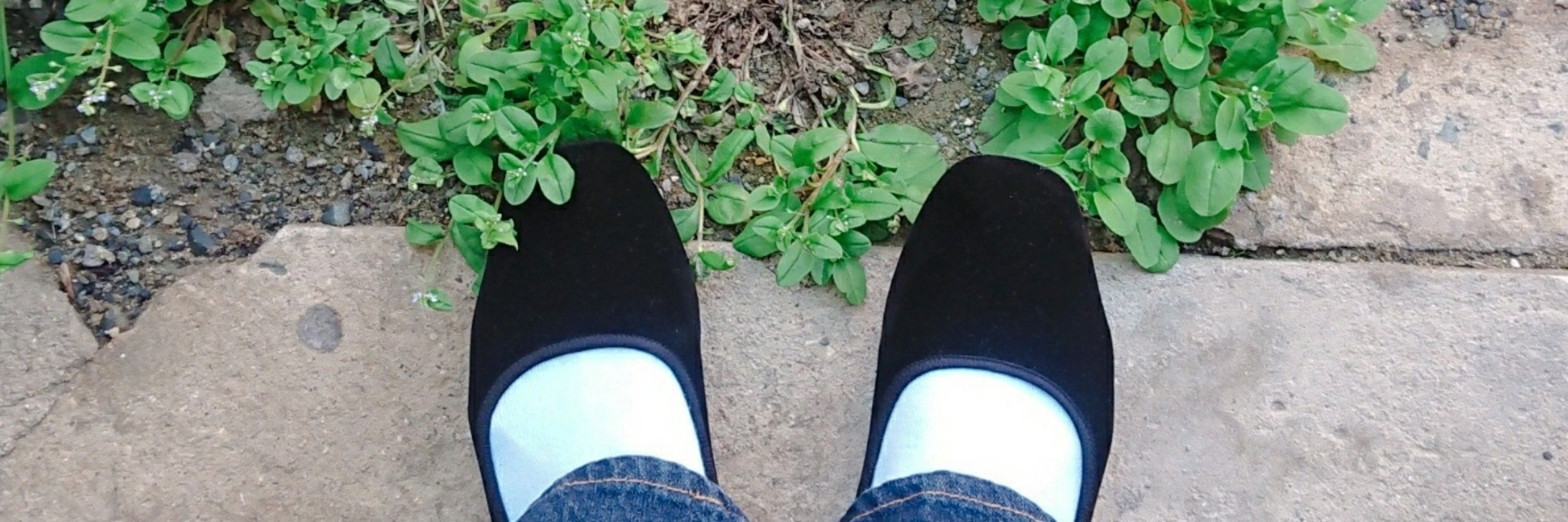 ほよよ