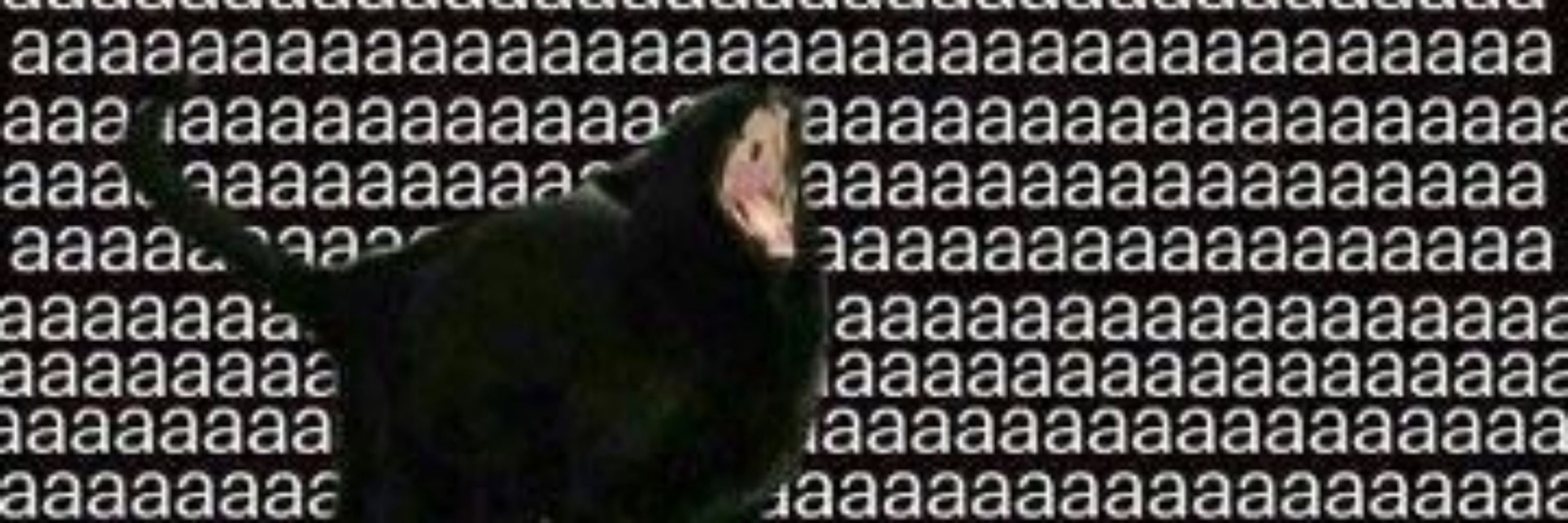 Jai