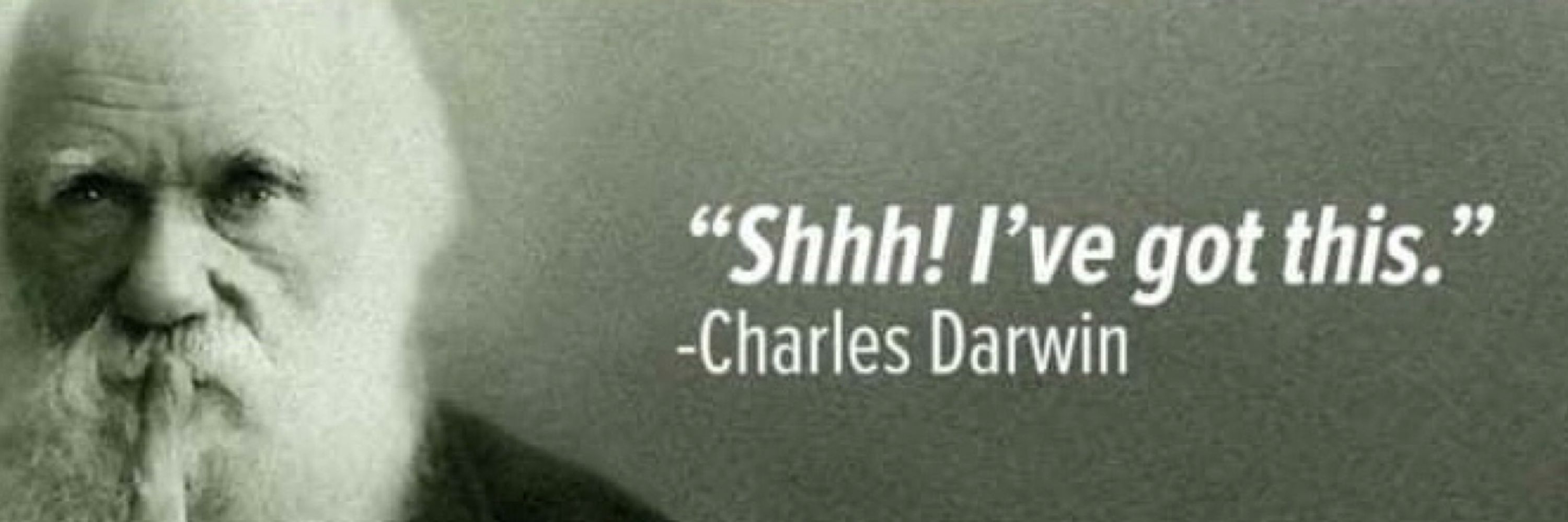 ShirleyV
