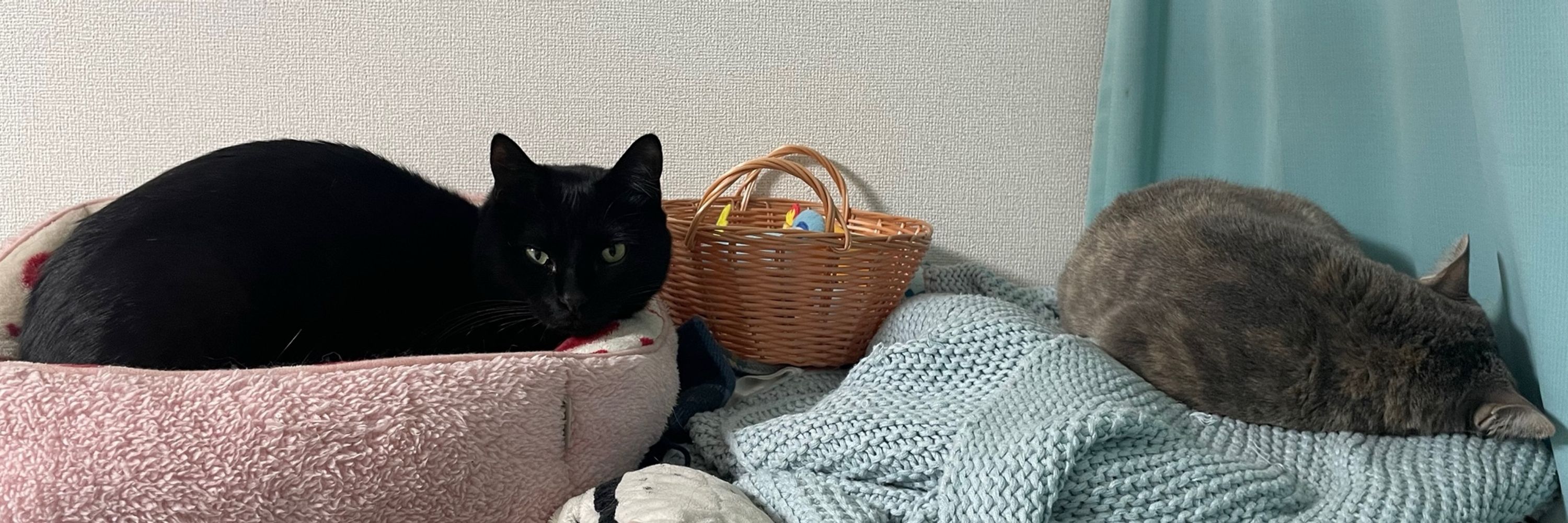 おばけ