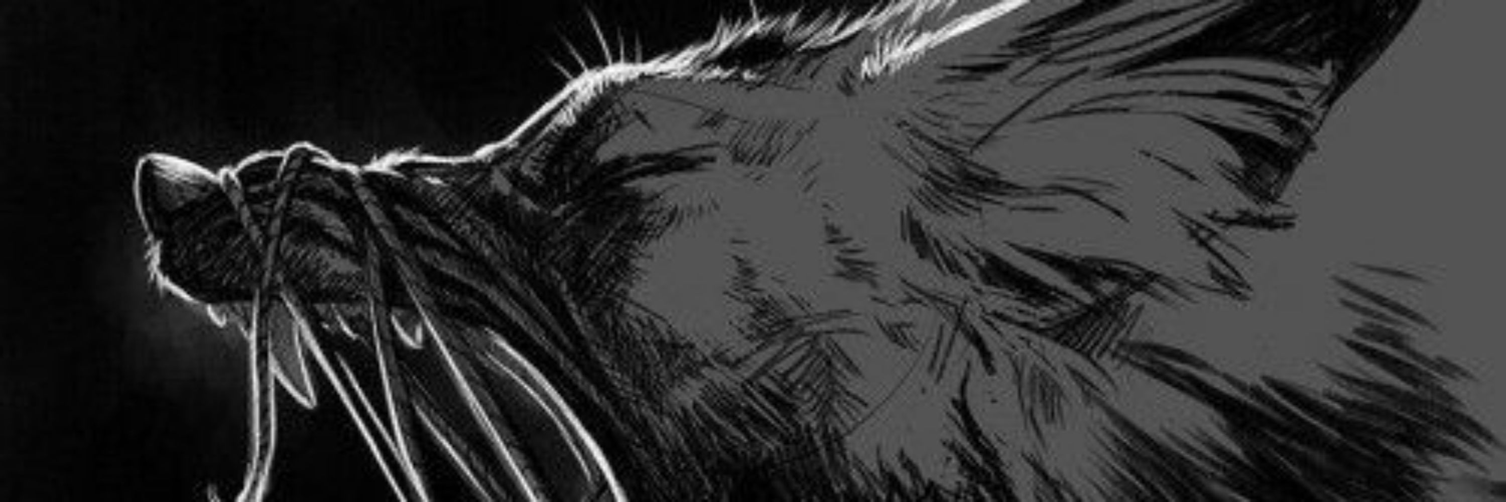 Fenrir | ✨🐺ᚠᛖᚾᚱᛁᚱ✨