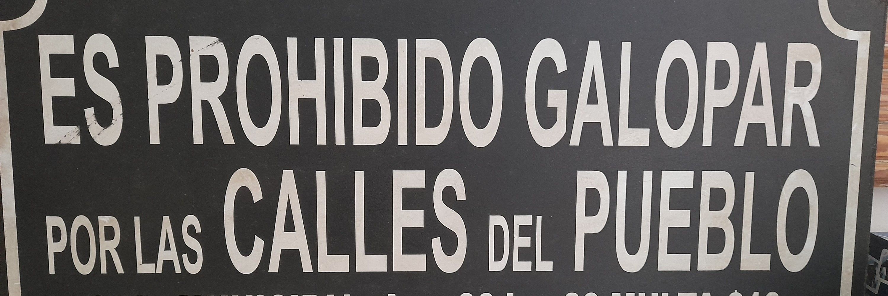 @fabioschaffner