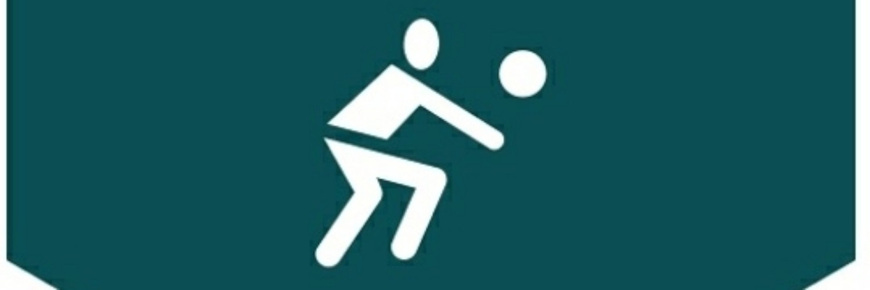 Granada Voleibol