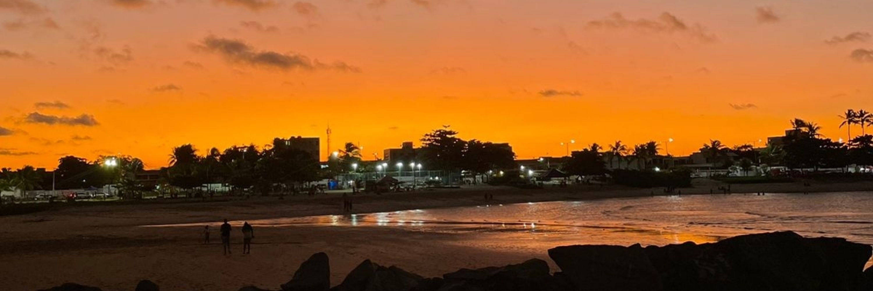 viisara