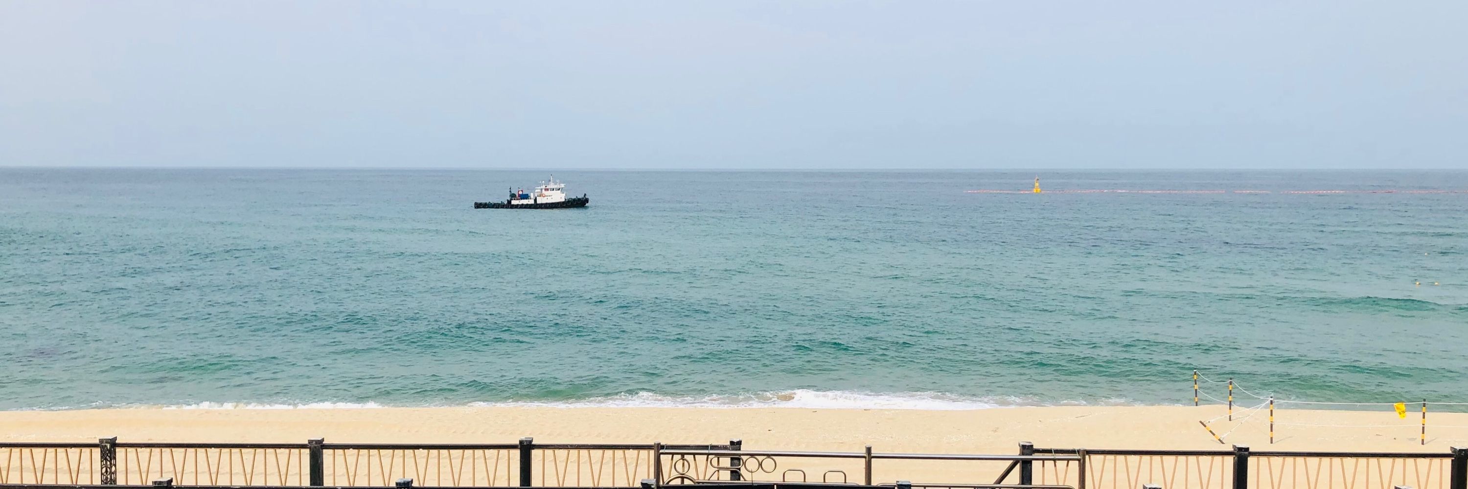 꼽사리의뉴드림