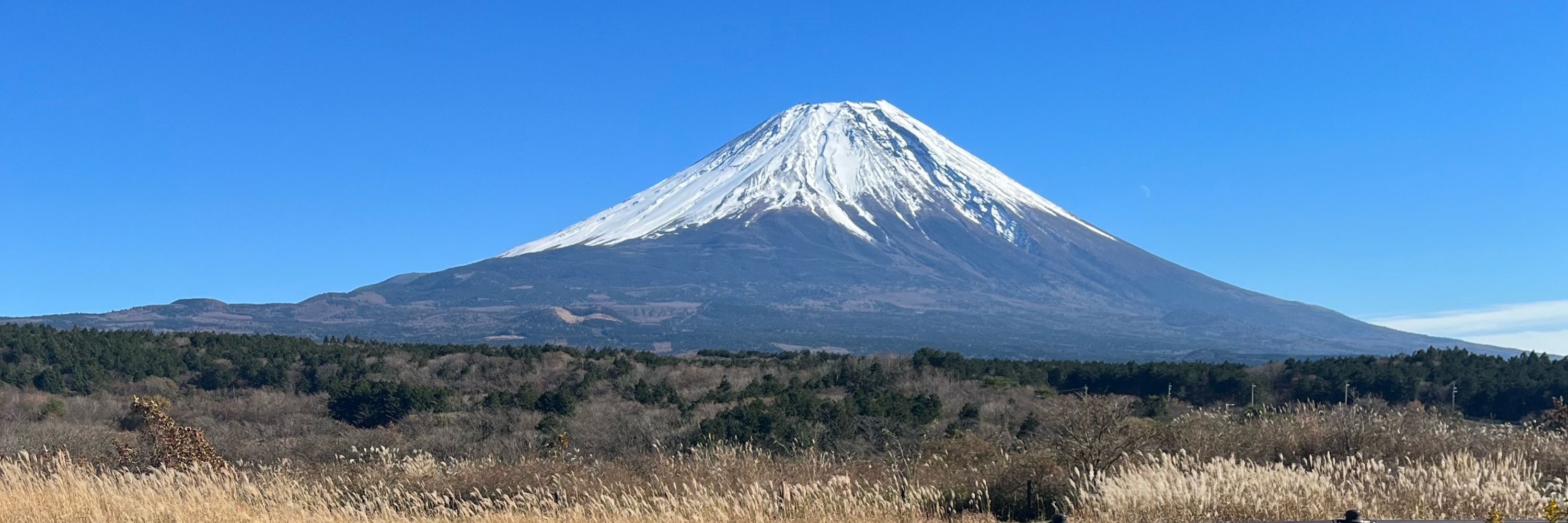 グラめん