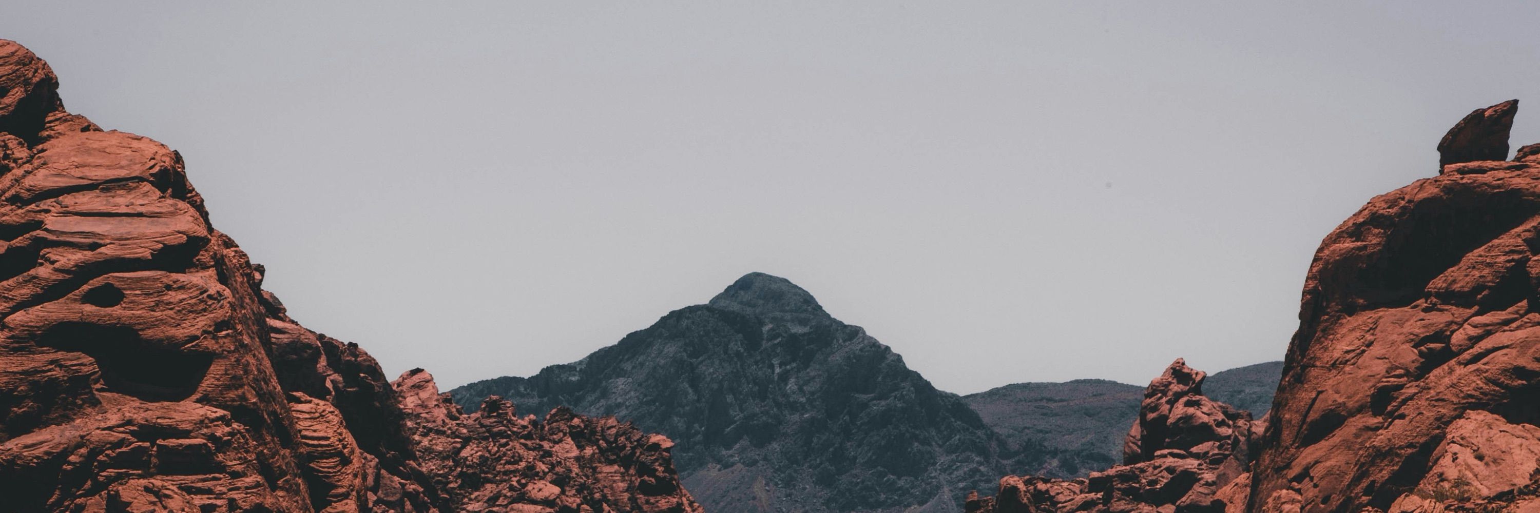 Austin Wright