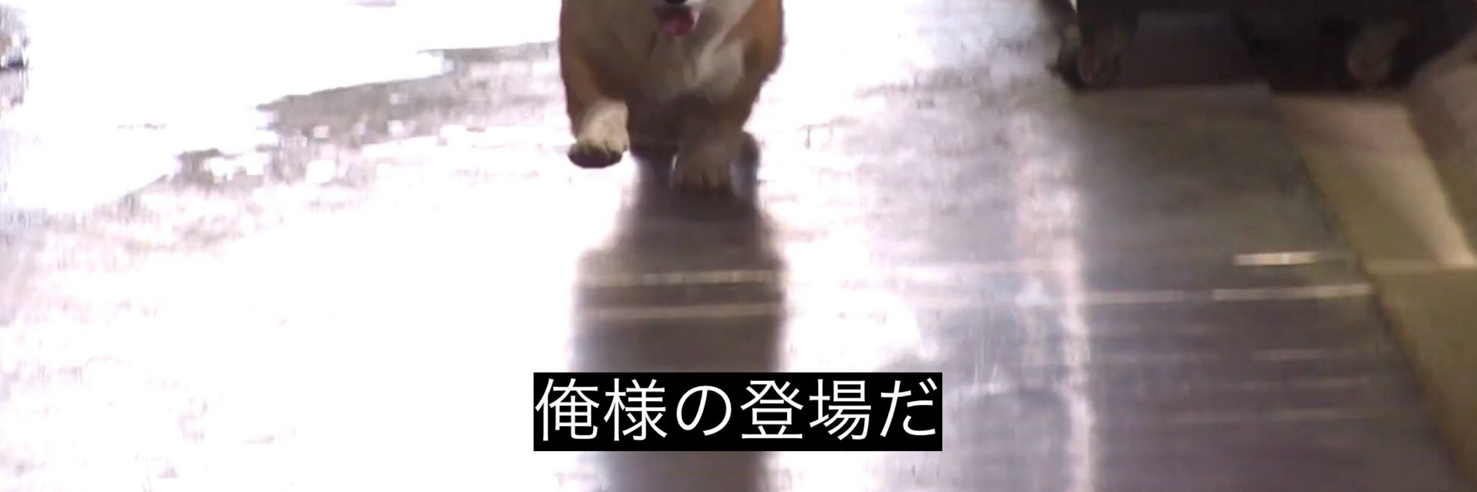 まんちゃんぴも