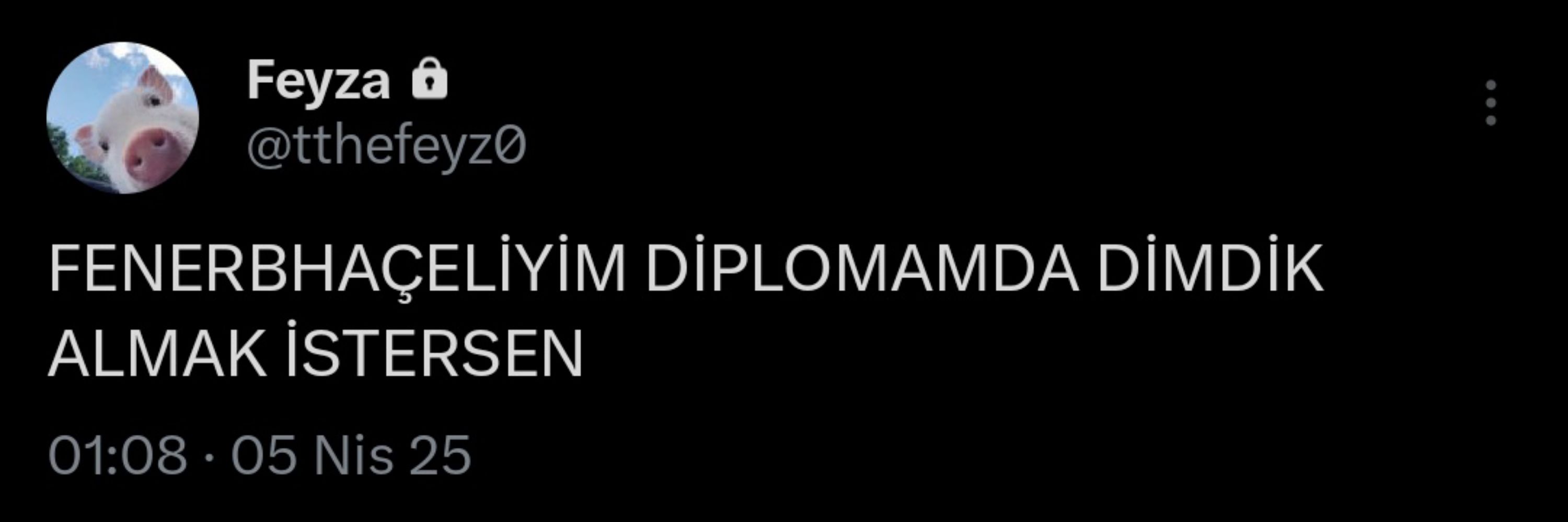 FEYZA