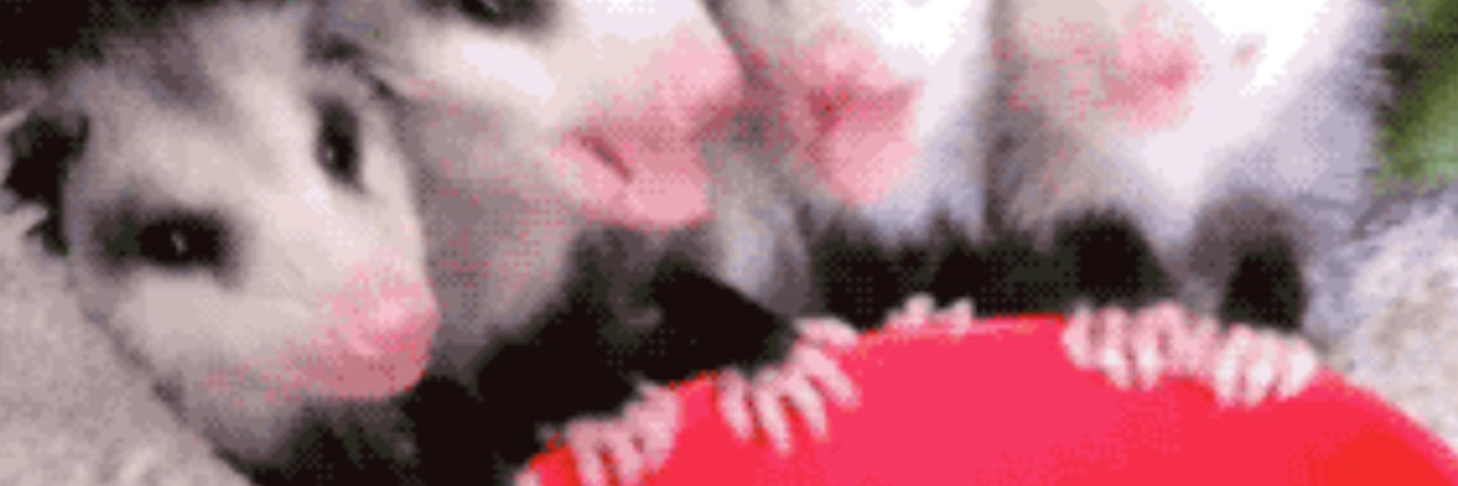 Possum
