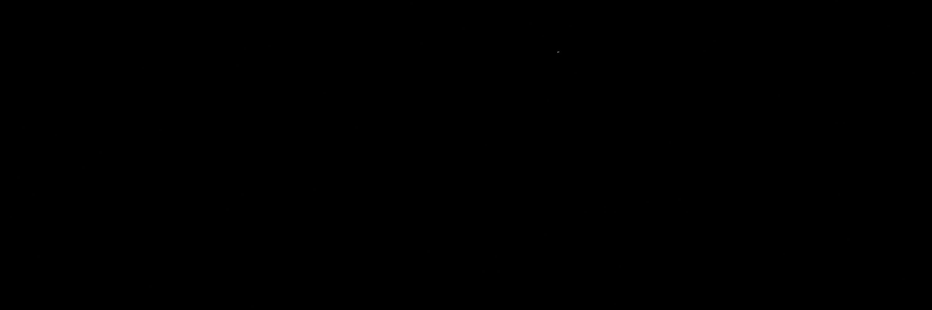 Gastón