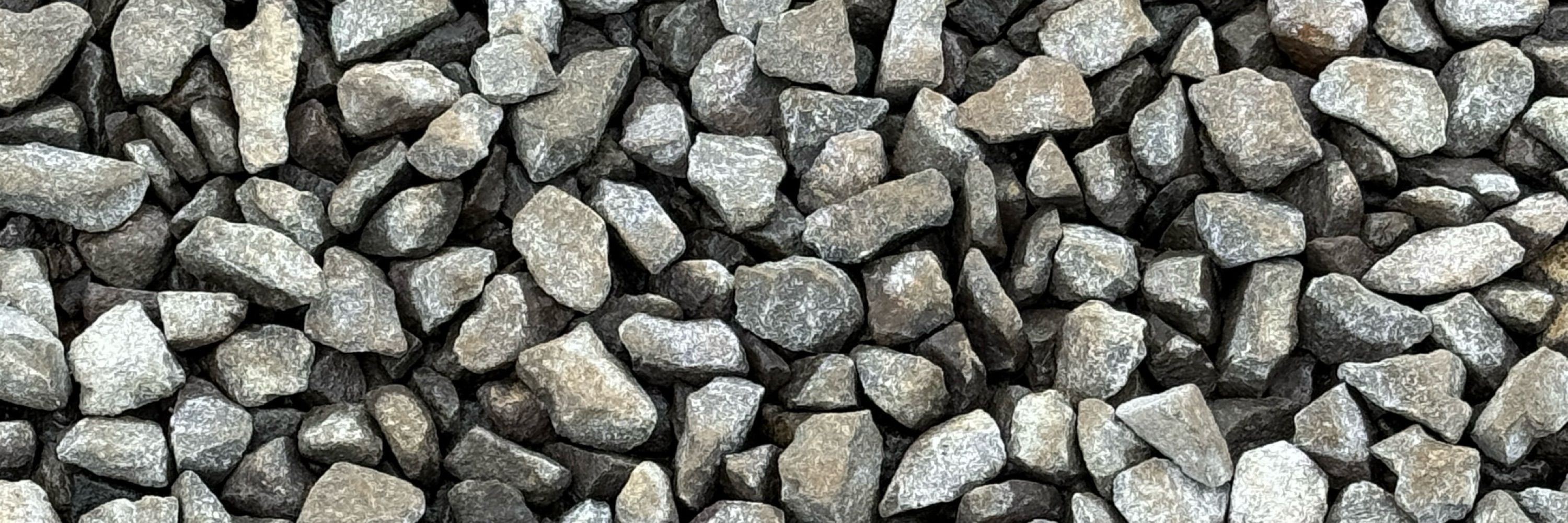 Ser