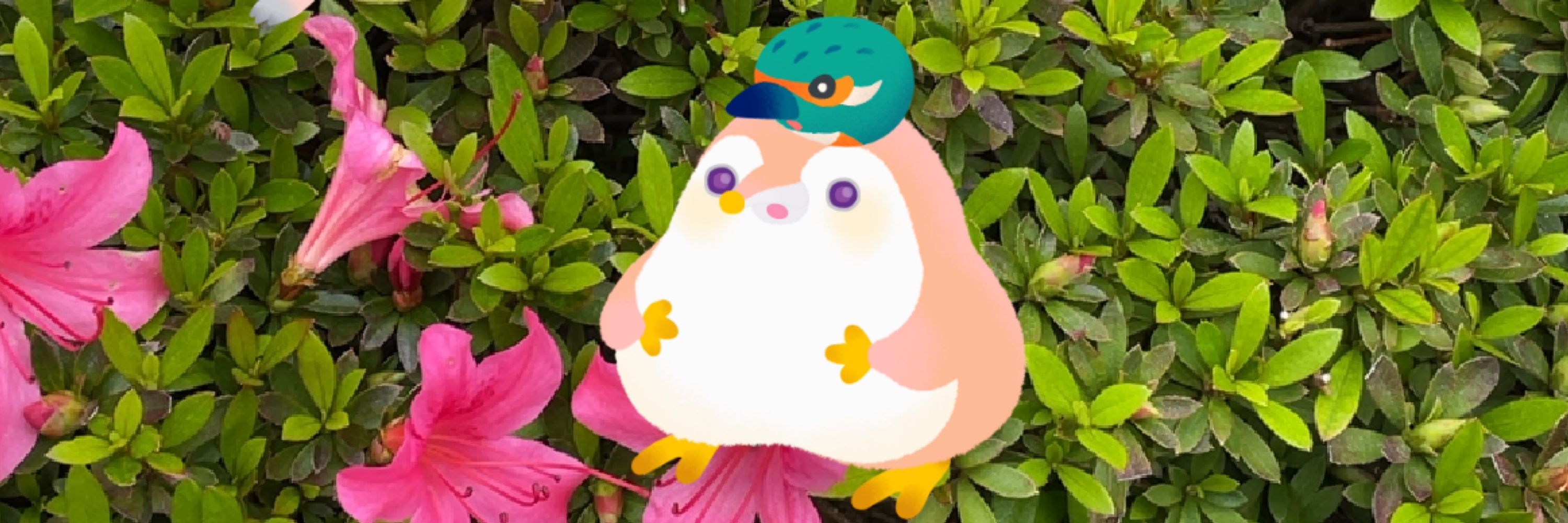 Hima