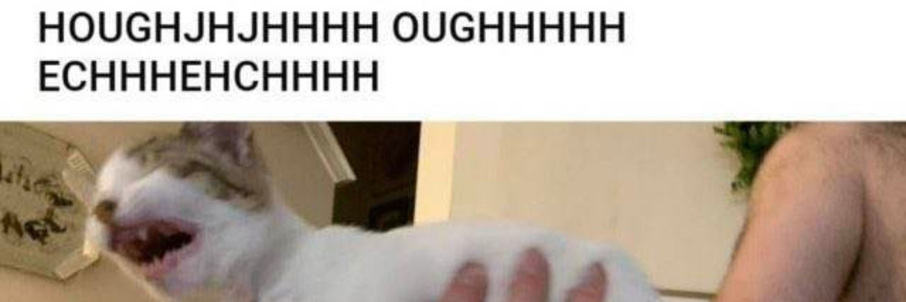 damnedcat132002
