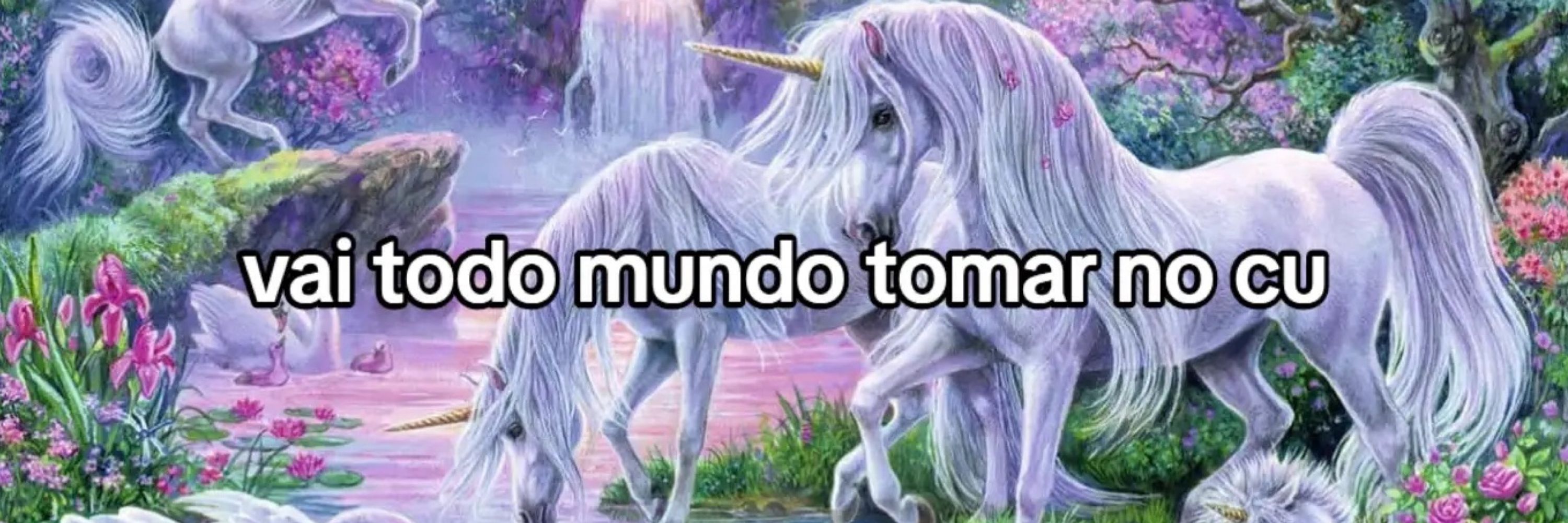 andressa