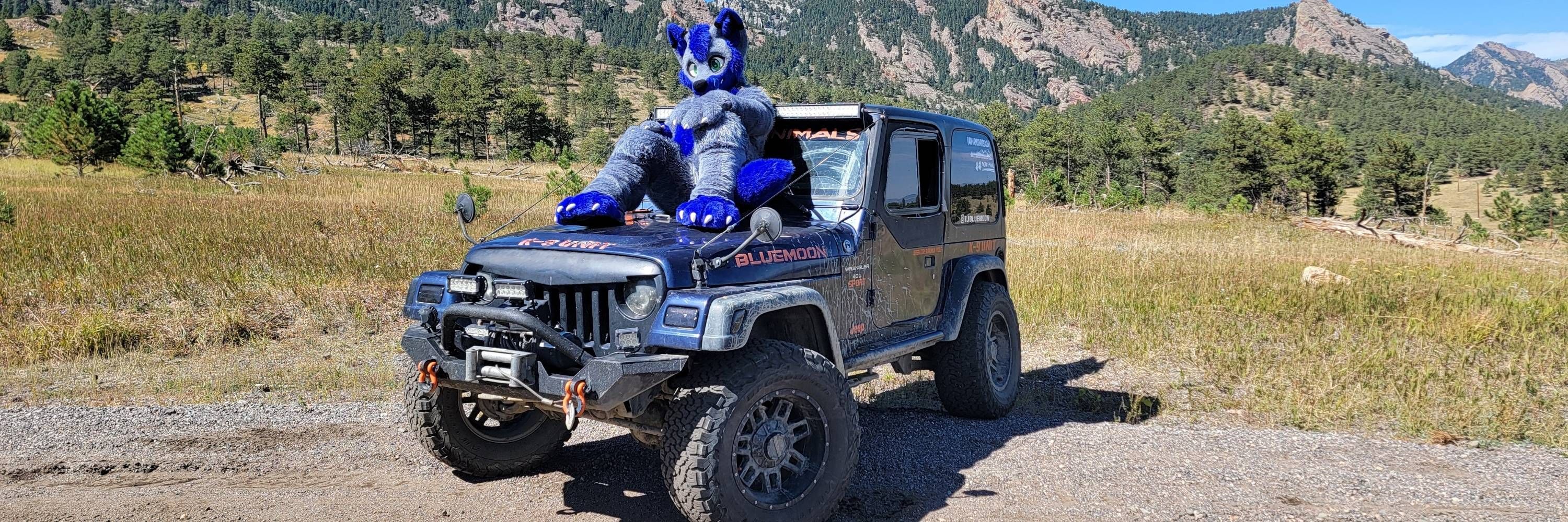 Burumun Wolf