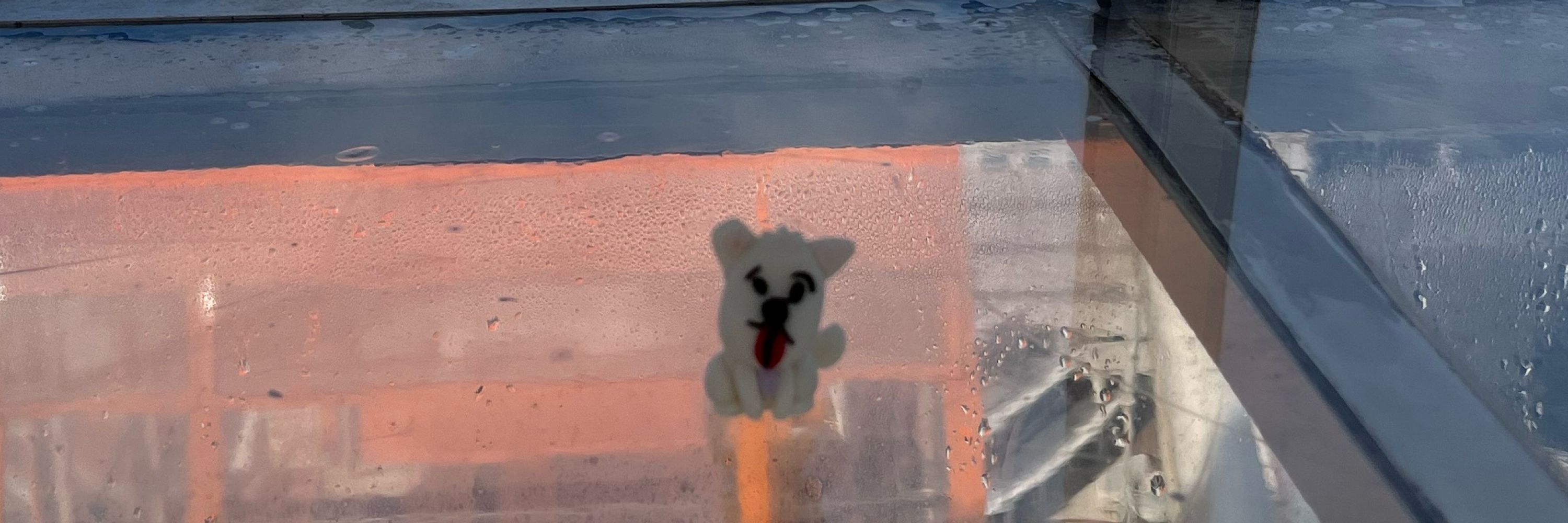 ﾐ｡