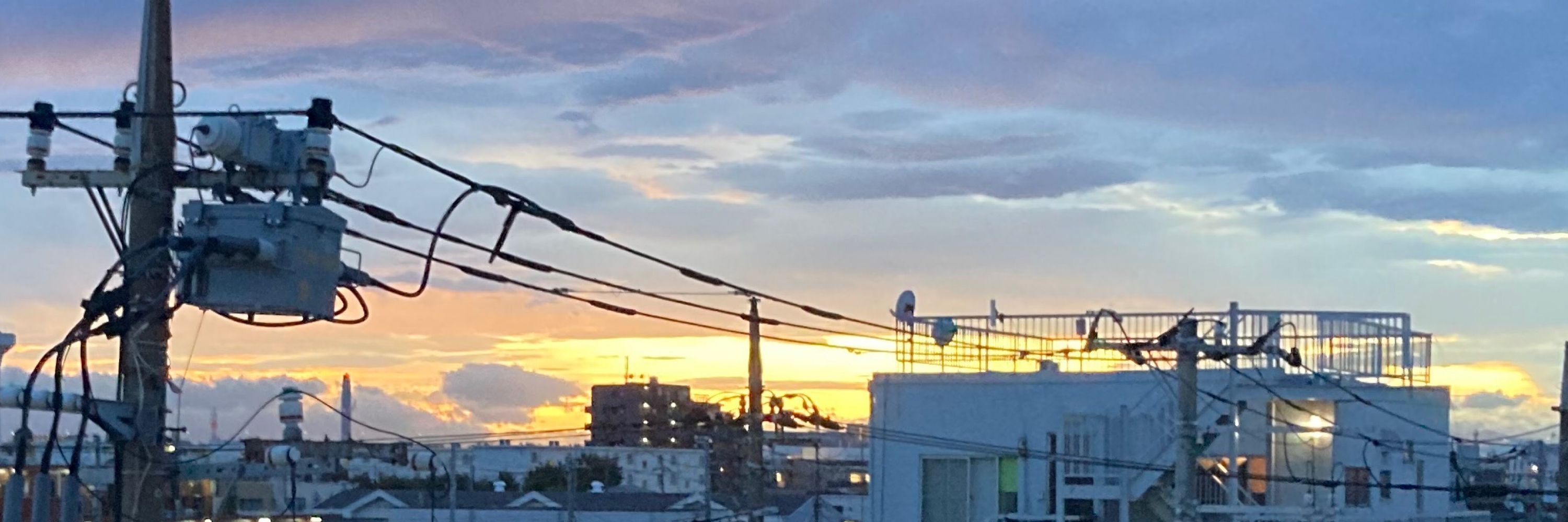 割り箸畑