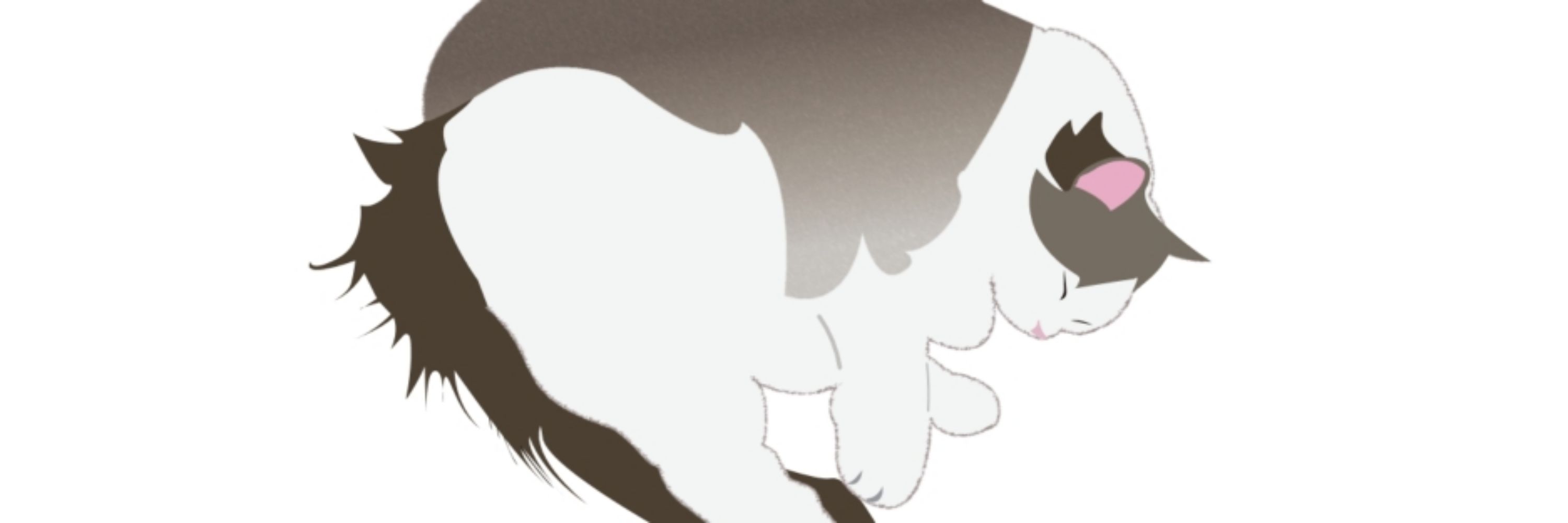 ミドリ